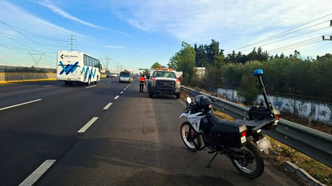 FB_IMG_1771254871938